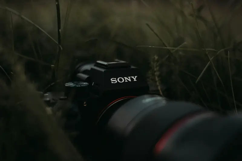 Câmera Sony com lente na grama alta
